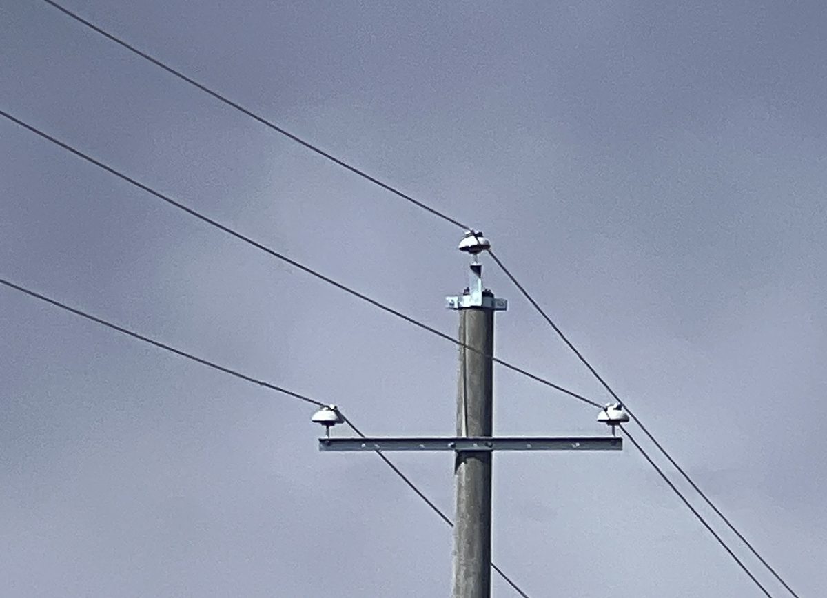 Unmitigated concrete distribution pole